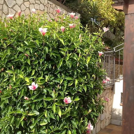 Santa Barbara Holiday home
